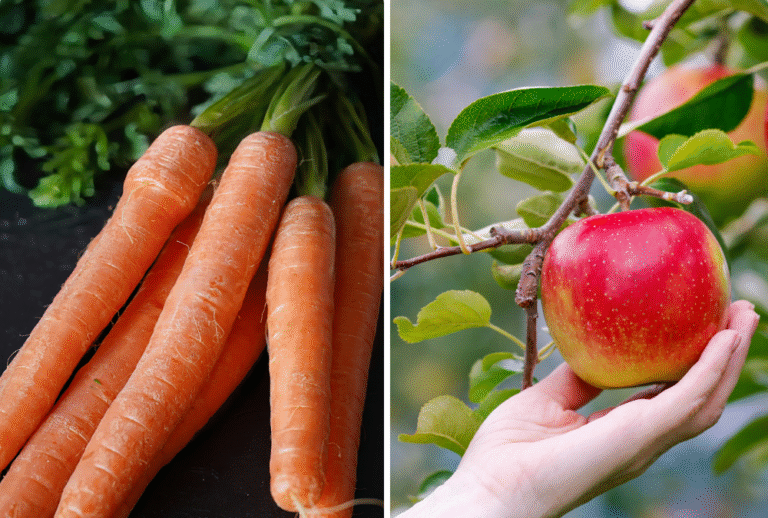 17 Fiber Rich Foods For Babies And Toddlers